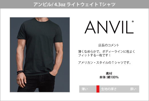 アンビル anvil PEPSI ペプシ アドバタイジングTシャツ メンズXL /eaa354641