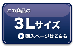 3L